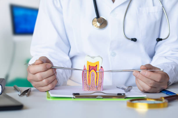 Best Weekend Emergency Dentist in Cookeville, TN
